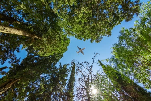 Tapping  ecosystems to power performance